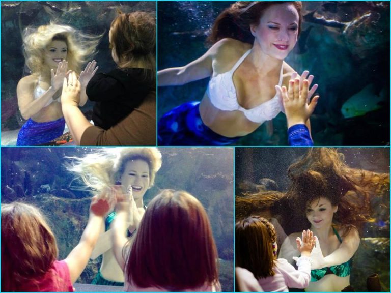 Weeki Wachee Mermaids at the Newport Aquarium