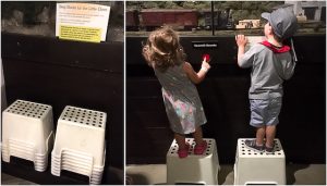 entertrainment collage 1