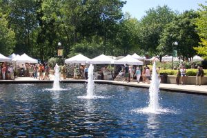 ArtontheCommons.jpg