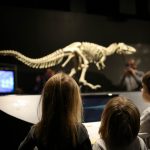 COSI-Dinosaurs-3.jpg