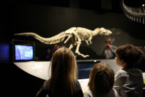 COSI-Dinosaurs-3.jpg