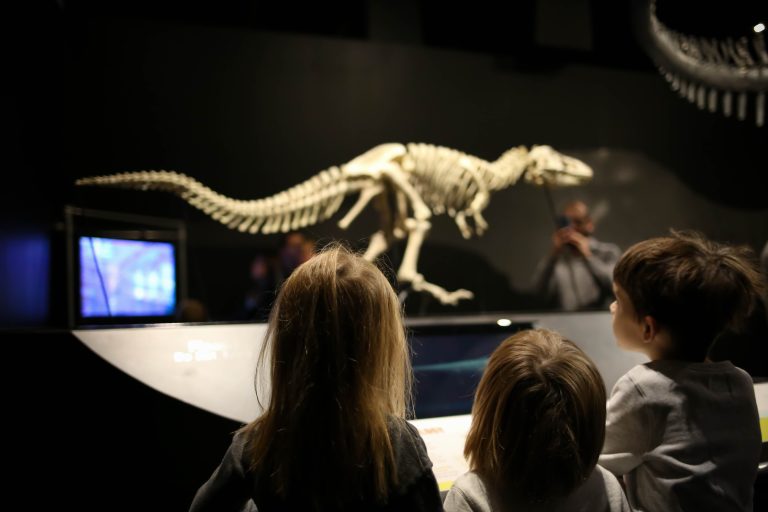 Now Open: American Museum of Natural History Dinosaur Gallery at COSI