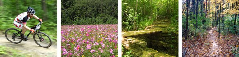 Spending the Day in Yellow Springs