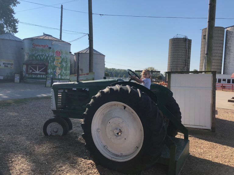Young’s Jersey Dairy