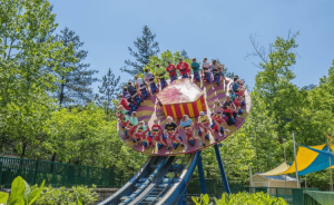 dollywood.png