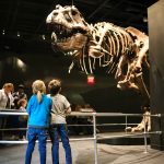 COSI Dinosaur Gallery