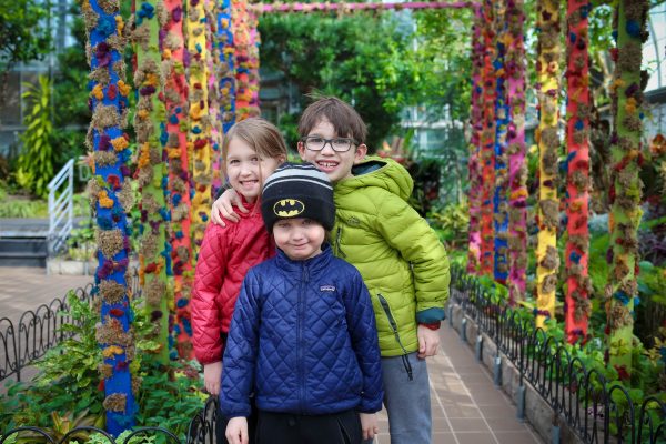 Krohn Conservatory’s Fabulous Foliage is a breath of spring air Fabulous-Foliage-11.jpg