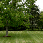 Bill Yeck – Centerville-Washington Park District