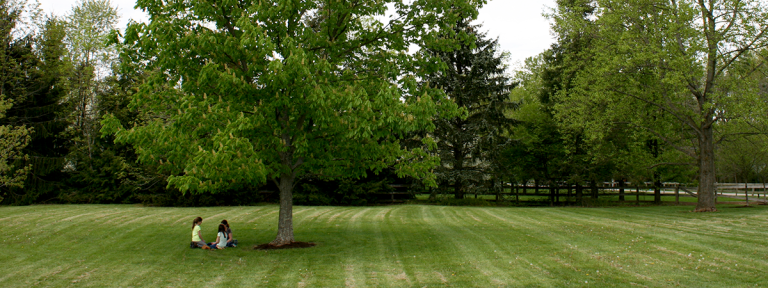 Parks around Dayton with No Playgrounds