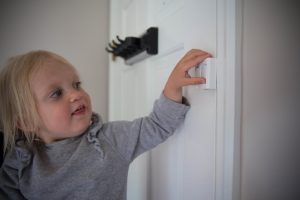 Door-Guardian-6-scaled.jpg