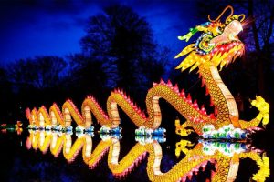 Wild-Lights-Lantern-Festival-at-the-Louisville-Zoo.jpg