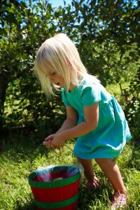 Apple-Picking-090520-4-scaled.jpg