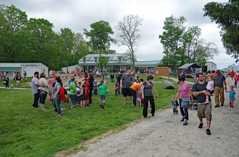 Aullwood Farm Babies Fest!