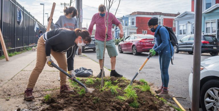 Celebrate Earth Day by planting a tree from the 2nd Street Market