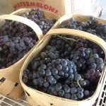Image result for monnins fruit farm