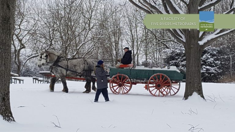 Exploring Nature on Horseback at Carriage Hill MetroPark 