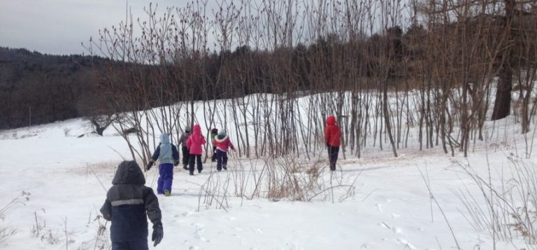 Exploring Outdoors During Winter