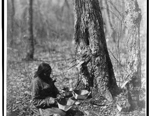 Fort Ancient’s Popular History of Maple SyrupFort Ancient’s Popular History of Maple Syrup