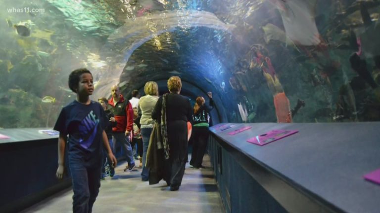 Free Winter Family Days at Newport Aquarium