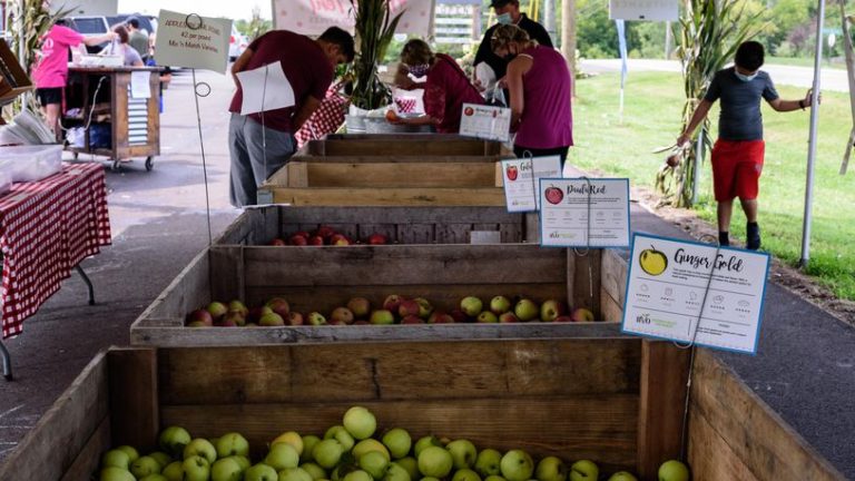 Hidden Valley Fruit Farm- Strawberry Spectacular!
