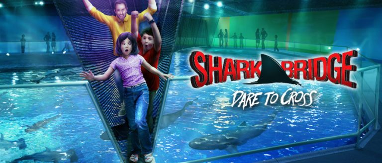 Kids Get in FREE at Newport Aquarium During Summer Family Hours