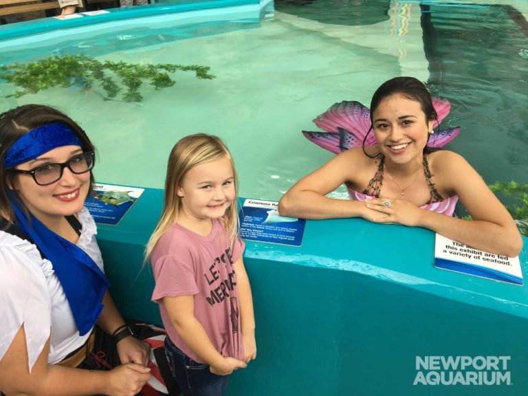 Mermaids Return to Newport Aquarium