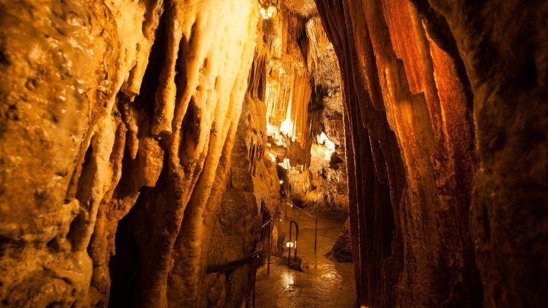 5 Holiday Getaways Near Dayton – Dayton Parent Magazine