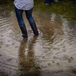 Effects of Water Damage