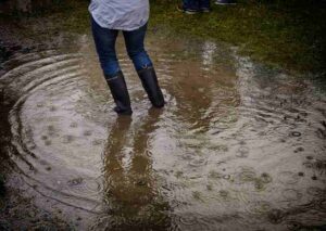 Effects of Water Damage