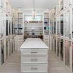 Modern Walk In Closet