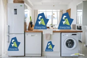 The Ultimate Guide to Choosing Energy-Efficient Appliances