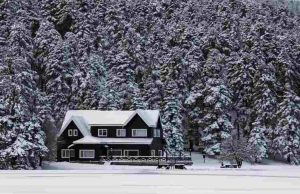 Winterize Your Home