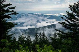 Nature-Filled Family Vacation
